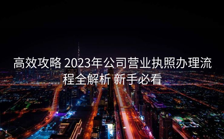 高效攻略 2023年公司营业执照办理流程全解析 新手必看