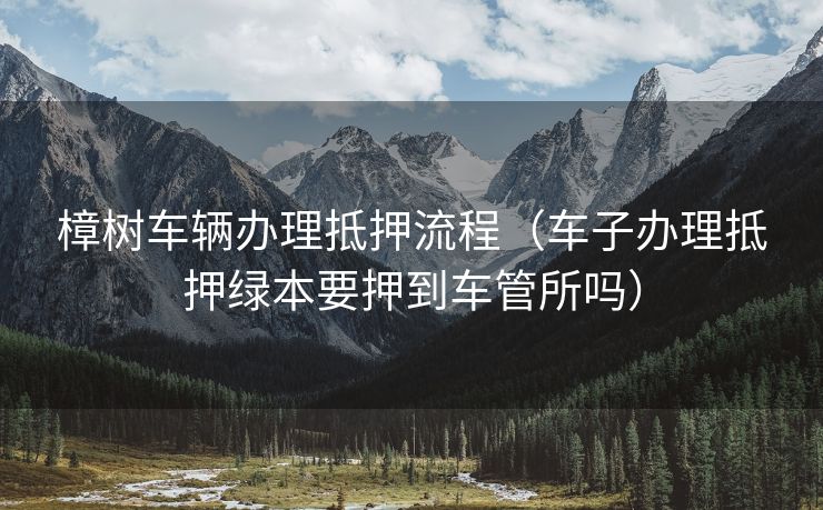 樟树车辆办理抵押流程（车子办理抵押绿本要押到车管所吗）