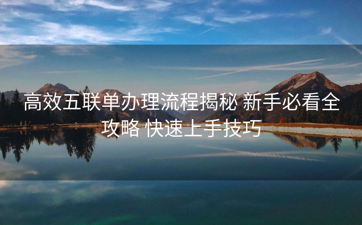 高效五联单办理流程揭秘 新手必看全攻略 快速上手技巧 高效五联单办理流程揭秘 新手必看全攻略 快速上手技巧