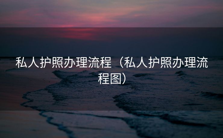 私人护照办理流程（私人护照办理流程图）
