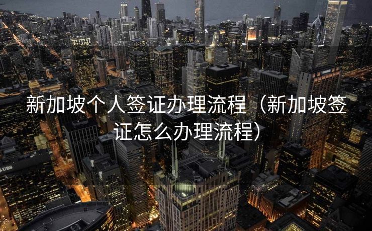 新加坡个人签证办理流程（新加坡签证怎么办理流程）