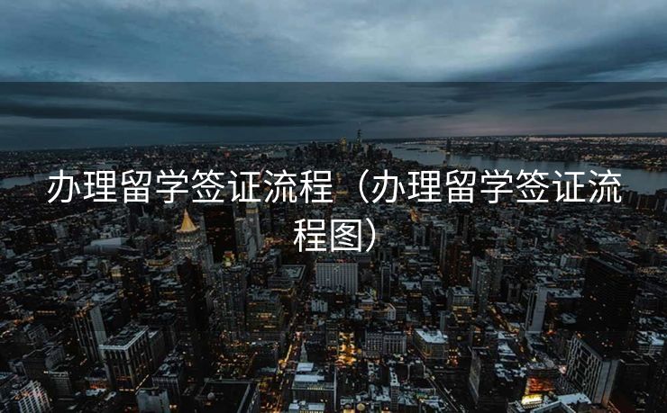 办理留学签证流程（办理留学签证流程图）