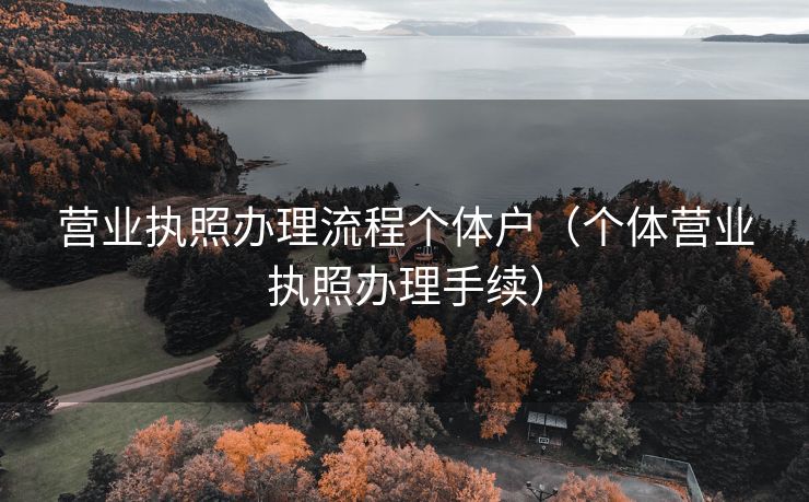 营业执照办理流程个体户(个体营业执照办理手续) 营业执照办理流程个体户(个体营业执照办理手续)