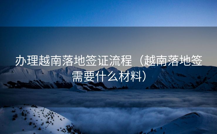 办理越南落地签证流程（越南落地签需要什么材料）