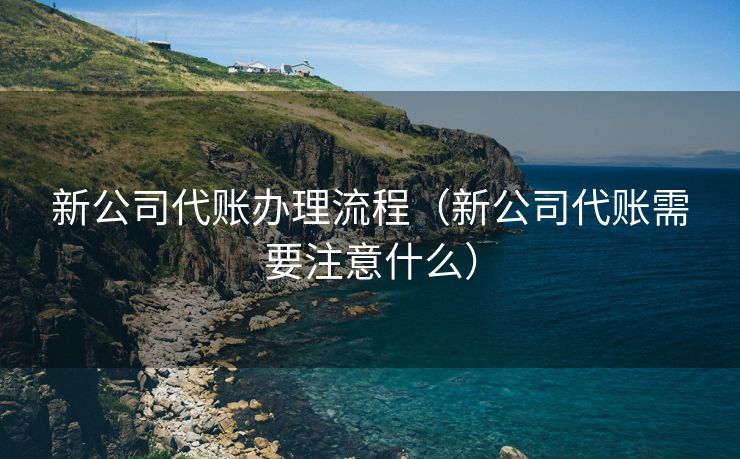 新公司代账办理流程（新公司代账需要注意什么）