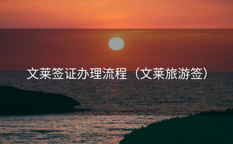 文莱签证办理流程(文莱旅游签) 文莱签证办理流程(文莱旅游签)