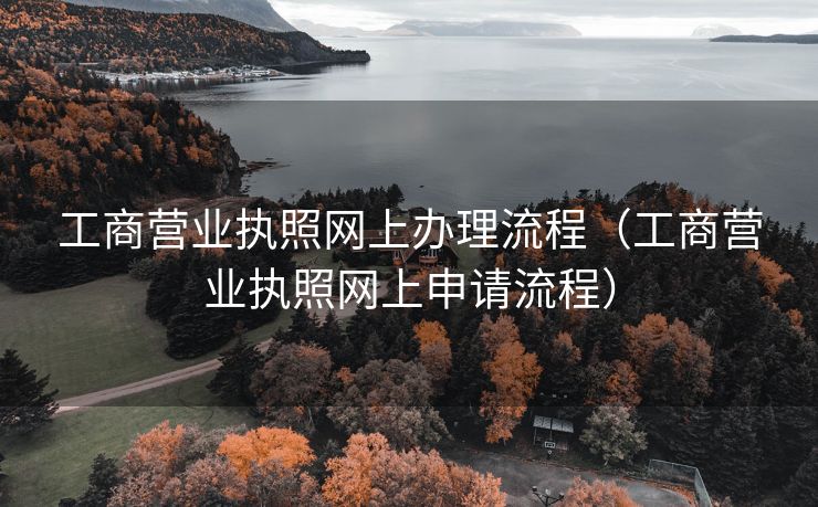 工商营业执照网上办理流程（工商营业执照网上申请流程）