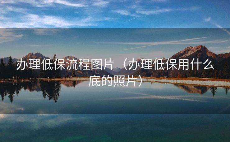 办理低保流程图片（办理低保用什么底的照片）