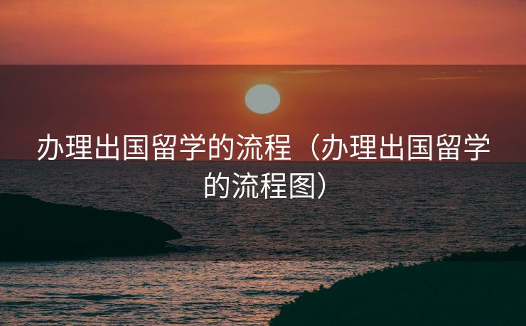 办理出国留学的流程（办理出国留学的流程图）