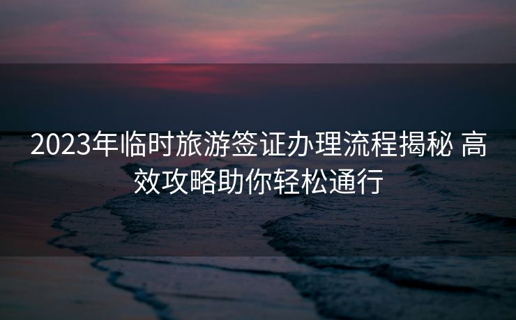 2023年临时旅游签证办理流程揭秘 高效攻略助你轻松通行
