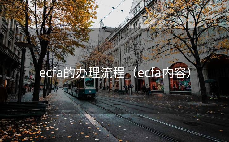 ecfa的办理流程（ecfa内容）