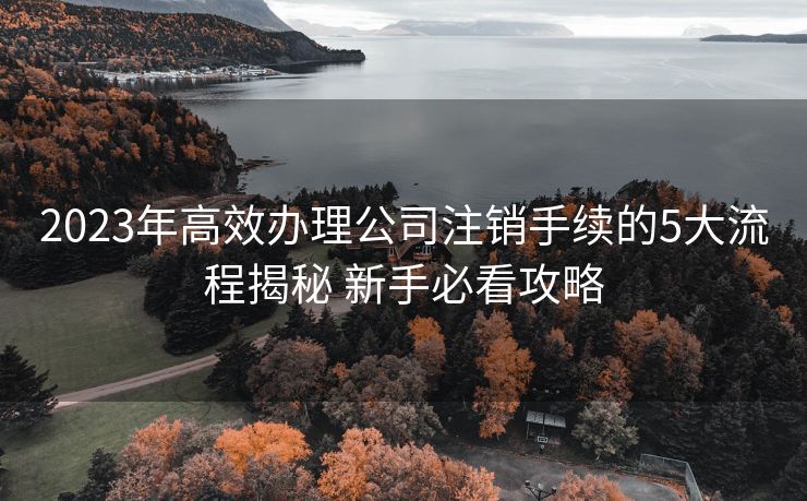 2023年高效办理公司注销手续的5大流程揭秘 新手必看攻略 2023年高效办理公司注销手续的5大流程揭秘 新手必看攻略