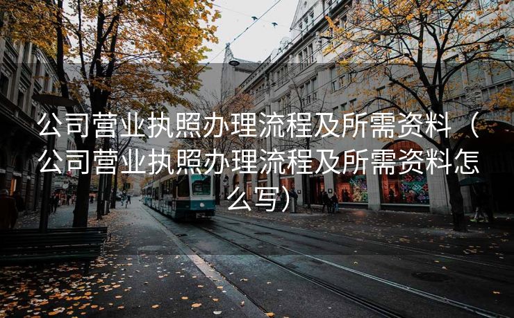 公司营业执照办理流程及所需资料（公司营业执照办理流程及所需资料怎么写）