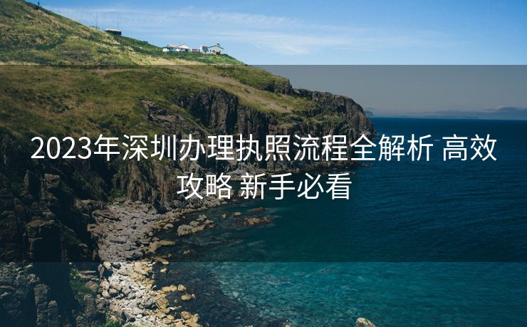 2023年深圳办理执照流程全解析 高效攻略 新手必看 2023年深圳办理执照流程全解析 高效攻略 新手必看