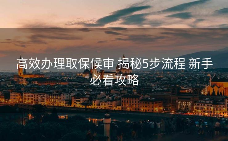 高效办理取保候审 揭秘5步流程 新手必看攻略