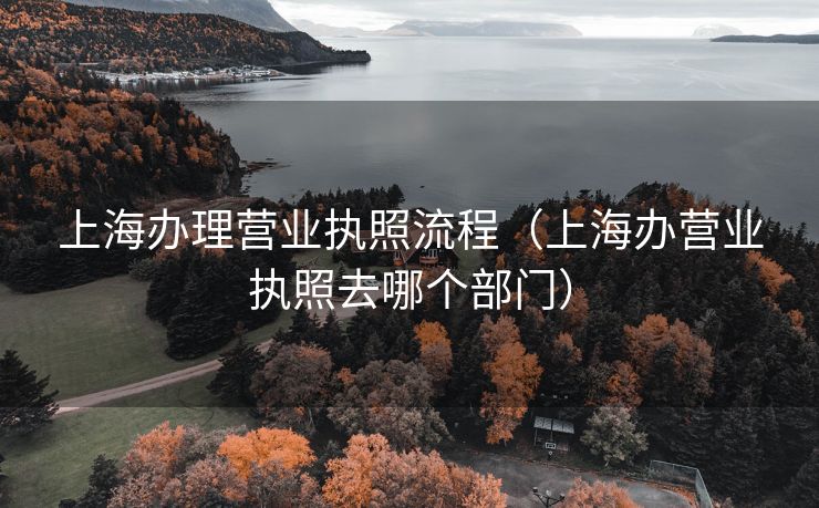 上海办理营业执照流程（上海办营业执照去哪个部门）
