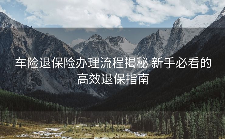 车险退保险办理流程揭秘 新手必看的高效退保指南
