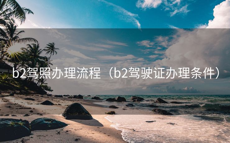 b2驾照办理流程（b2驾驶证办理条件）