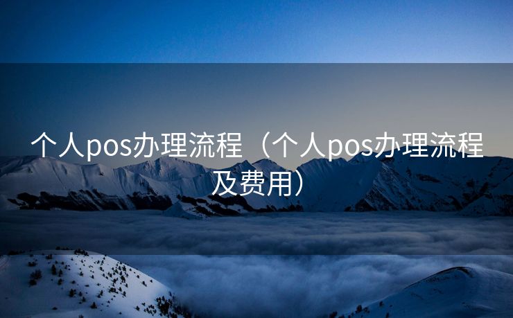 个人pos办理流程（个人pos办理流程及费用）
