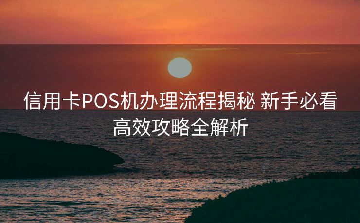 信用卡POS机办理流程揭秘 新手必看高效攻略全解析