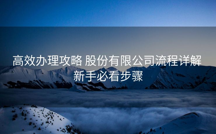 高效办理攻略 股份有限公司流程详解 新手必看步骤
