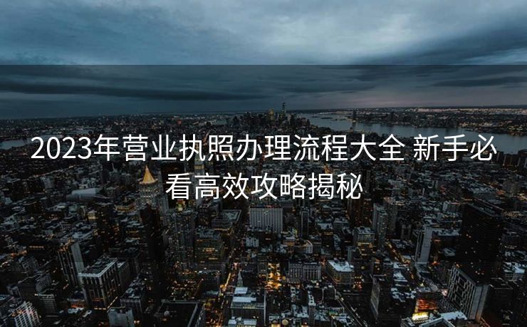 2023年营业执照办理流程大全 新手必看高效攻略揭秘 2023年营业执照办理流程大全 新手必看高效攻略揭秘