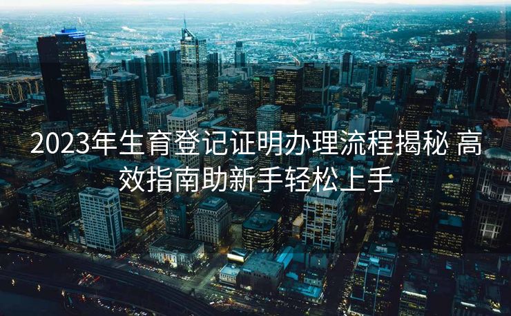 2023年生育登记证明办理流程揭秘 高效指南助新手轻松上手
