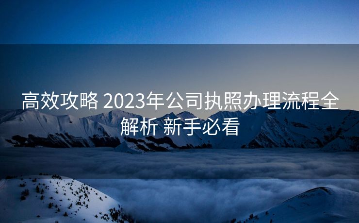 高效攻略 2023年公司执照办理流程全解析 新手必看
