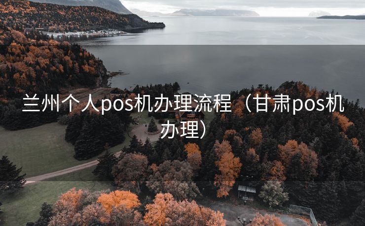 兰州个人pos机办理流程（甘肃pos机办理）