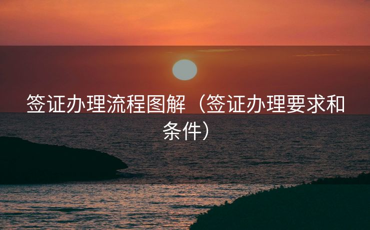 签证办理流程图解（签证办理要求和条件）