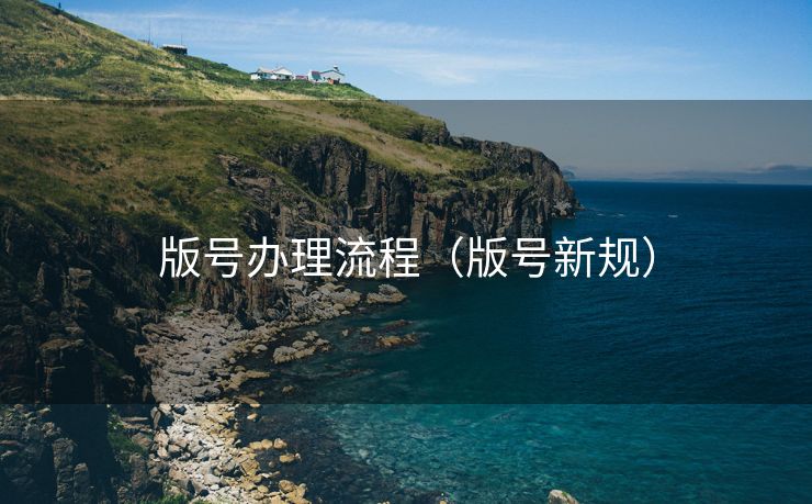 版号办理流程（版号新规）