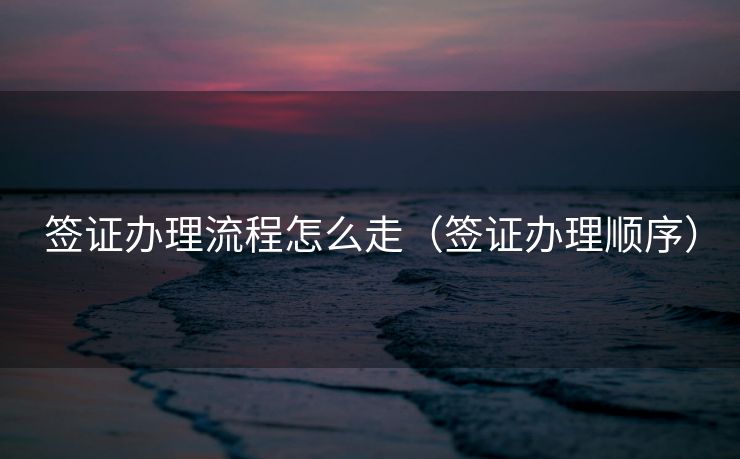 签证办理流程怎么走（签证办理顺序）