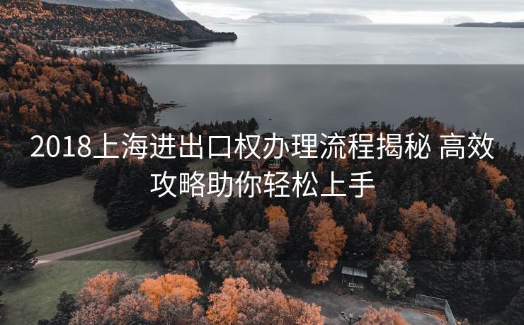 2018上海进出口权办理流程揭秘 高效攻略助你轻松上手 2018上海进出口权办理流程揭秘 高效攻略助你轻松上手