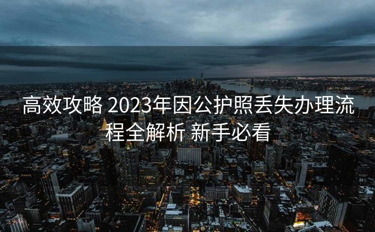 高效攻略 2023年因公护照丢失办理流程全解析 新手必看 高效攻略 2023年因公护照丢失办理流程全解析 新手必看