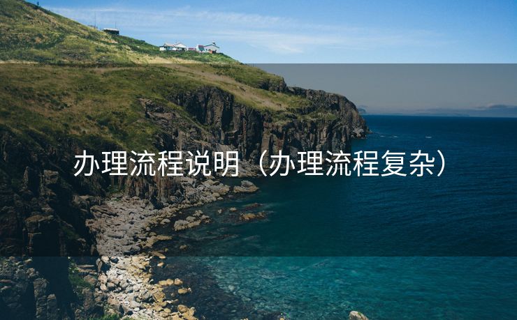办理流程说明（办理流程复杂）