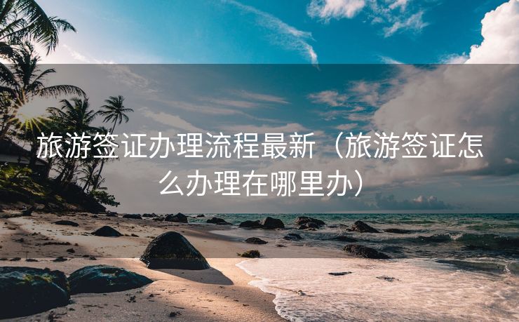 旅游签证办理流程最新（旅游签证怎么办理在哪里办）