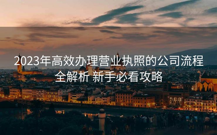 2023年高效办理营业执照的公司流程全解析 新手必看攻略