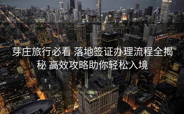 芽庄旅行必看 落地签证办理流程全揭秘 高效攻略助你轻松入境