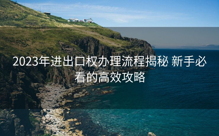 2023年进出口权办理流程揭秘 新手必看的高效攻略 2023年进出口权办理流程揭秘 新手必看的高效攻略