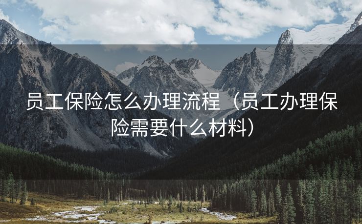 员工保险怎么办理流程（员工办理保险需要什么材料）