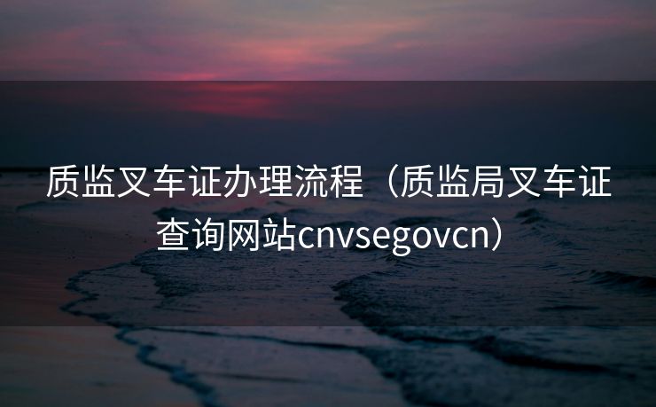 质监叉车证办理流程（质监局叉车证查询网站cnvsegovcn）