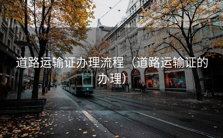 道路运输证办理流程（道路运输证的办理）