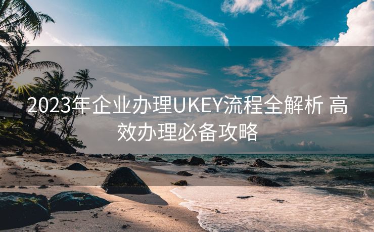 2023年企业办理UKEY流程全解析 高效办理必备攻略