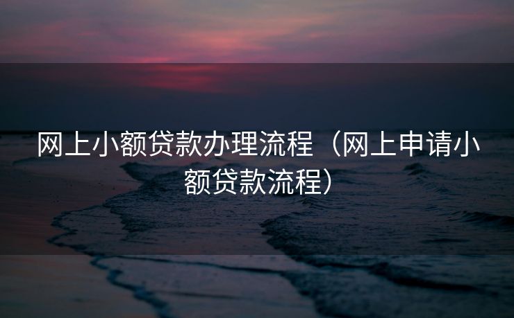 网上小额贷款办理流程（网上申请小额贷款流程）