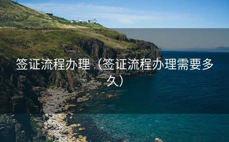 签证流程办理（签证流程办理需要多久）