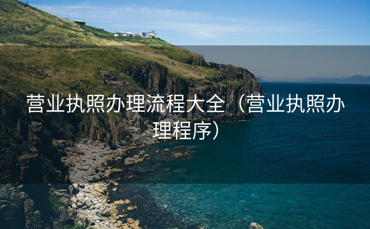 营业执照办理流程大全（营业执照办理程序）