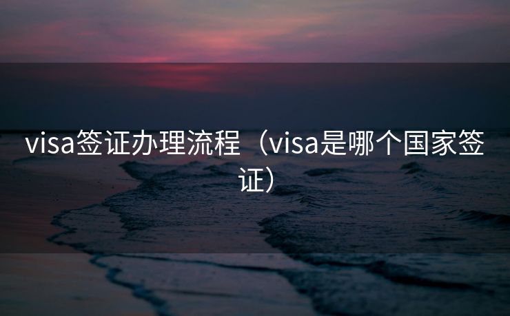 visa签证办理流程（visa是哪个国家签证）