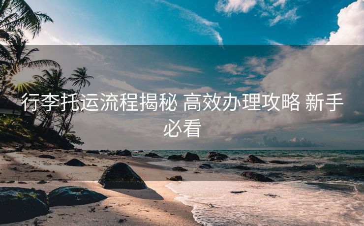 行李托运流程揭秘 高效办理攻略 新手必看