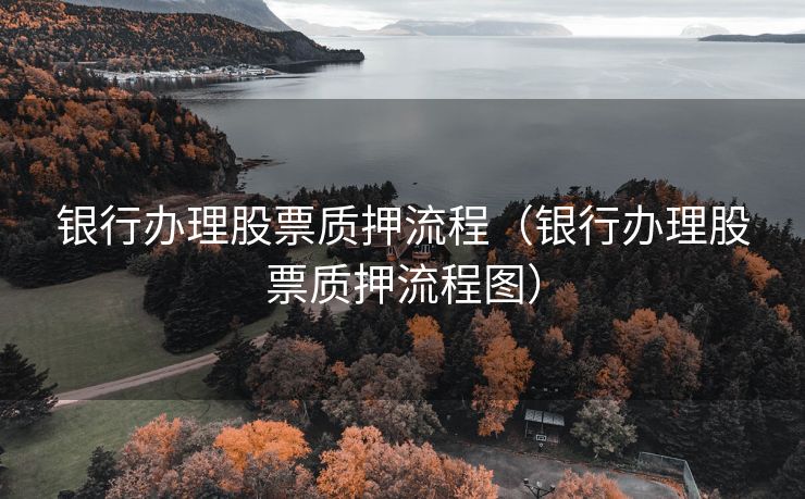 银行办理股票质押流程（银行办理股票质押流程图）