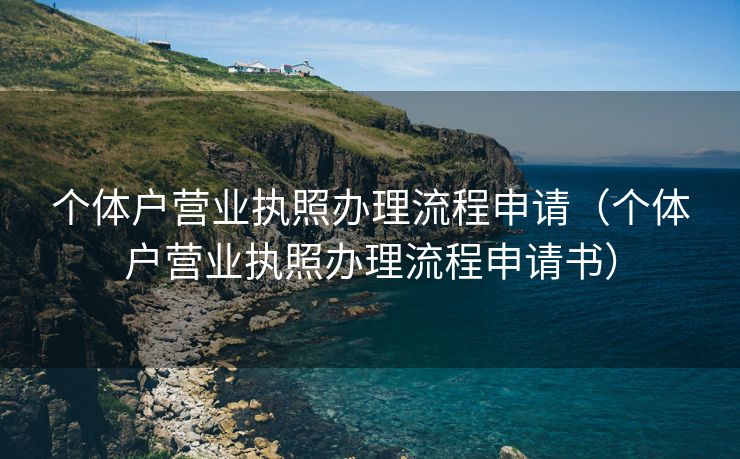 个体户营业执照办理流程申请（个体户营业执照办理流程申请书）